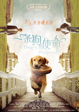 中文字幕亚洲一区在线观看