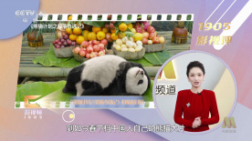 老妇女伦理一级
